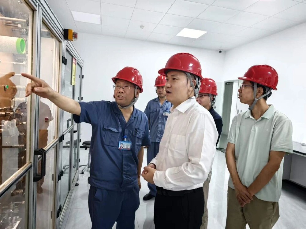 Fang Zheng and His Entourage from the Chemical Fiber Division of Highsun Group Visit Haiyang Technology